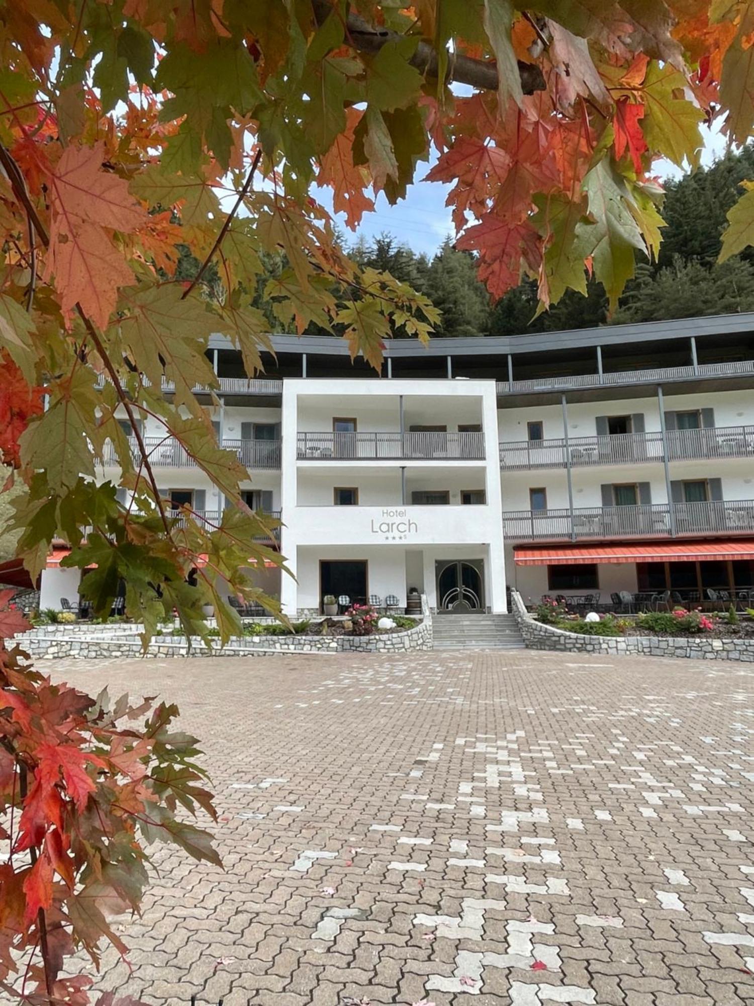 Hotel Larch Кампо-ди-Тренс Экстерьер фото